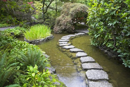 Rain garden
