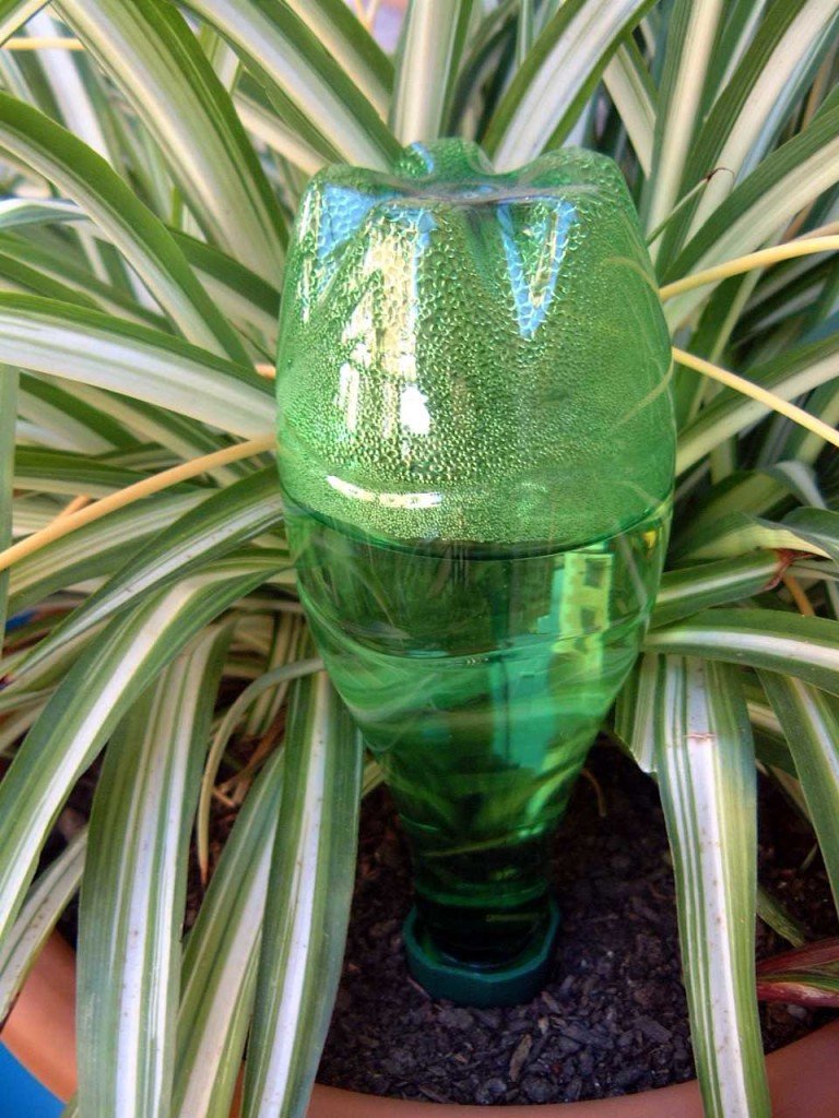 How Do Watering Spikes, Cones and Bottle Top Water Systems Work? All