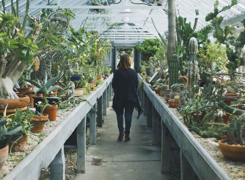 Greenhouse watering systems