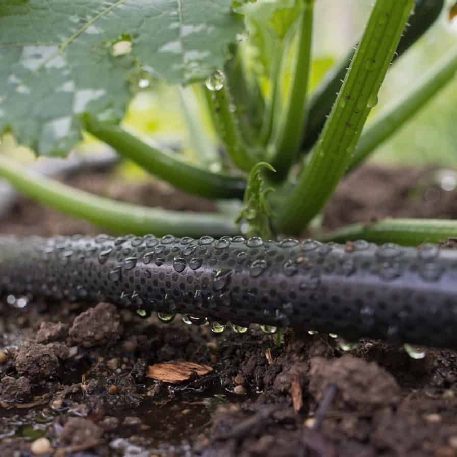 Soaker Hoses
